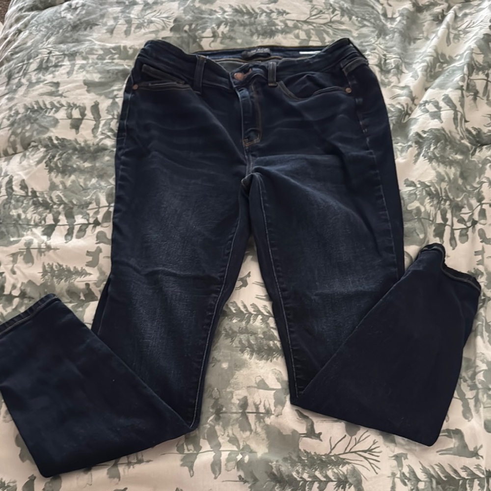 Judy Blue Skinny Jeans in Blue with Modern Silhouette